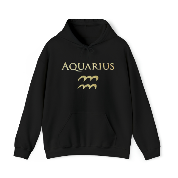 Aquarius Hoodie