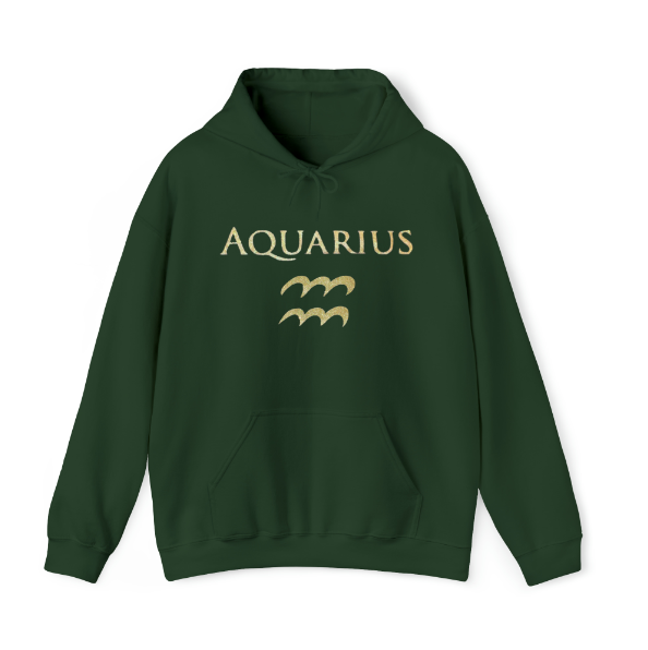 Aquarius Hoodie