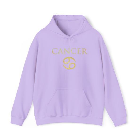 Cancer Hoodie