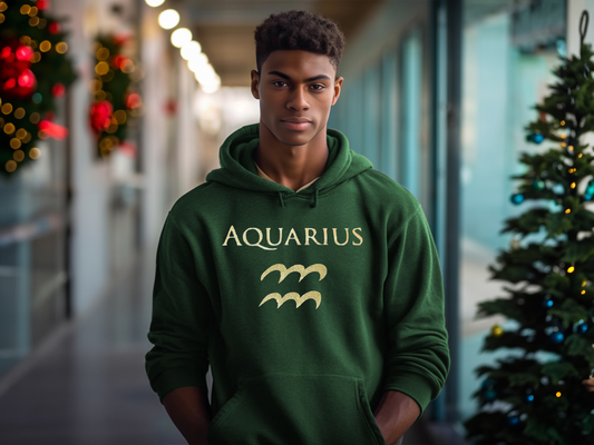 Aquarius Hoodie