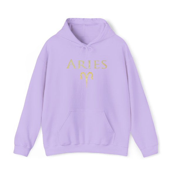 Aries Hoodie