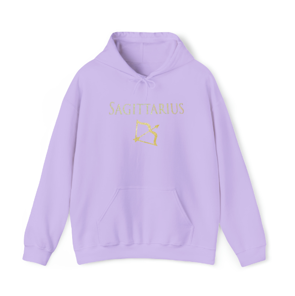 Sagittarius Hoodie